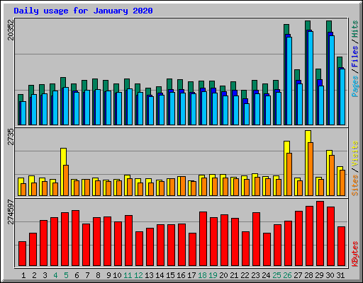 Daily usage for January 2020
