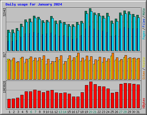 Daily usage for January 2024