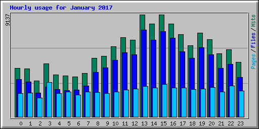 Hourly usage for January 2017