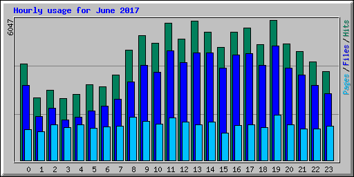 Hourly usage for June 2017