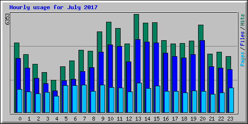 Hourly usage for July 2017