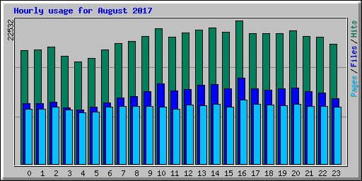 Hourly usage for August 2017