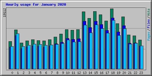 Hourly usage for January 2020