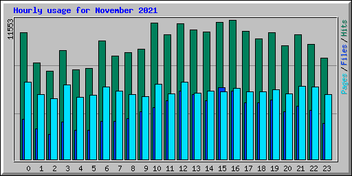Hourly usage for November 2021