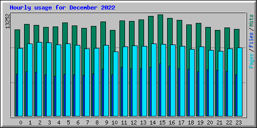 Hourly usage for December 2022