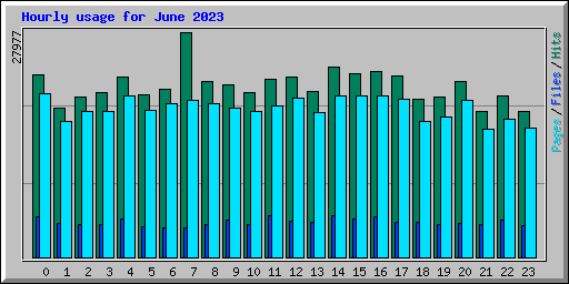 Hourly usage for June 2023