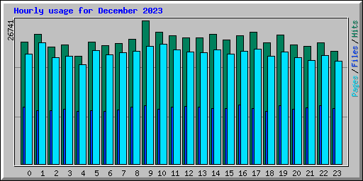 Hourly usage for December 2023