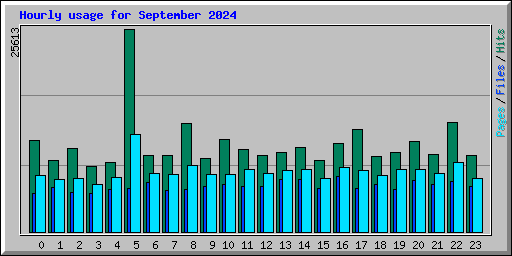 Hourly usage for September 2024