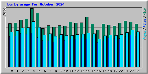 Hourly usage for October 2024