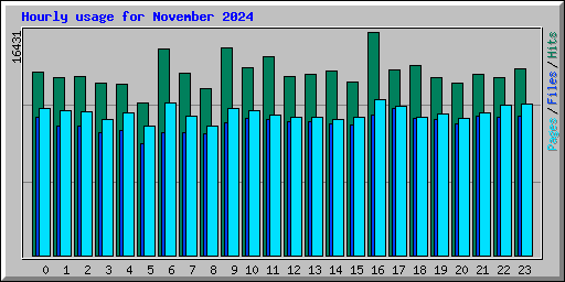 Hourly usage for November 2024