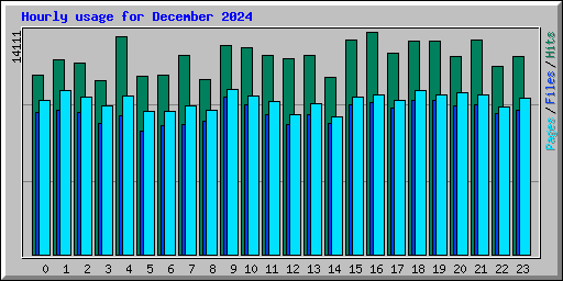 Hourly usage for December 2024