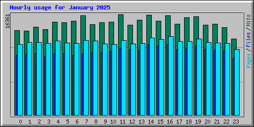 Hourly usage for January 2025