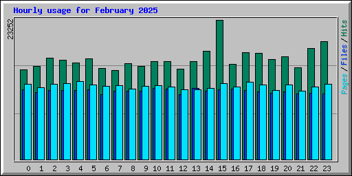 Hourly usage for February 2025