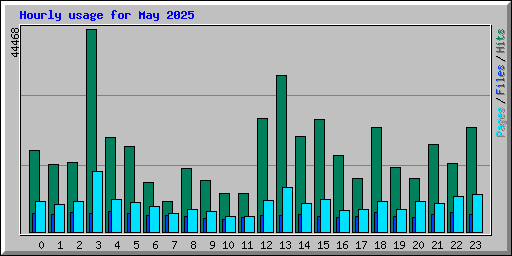 Hourly usage for May 2025