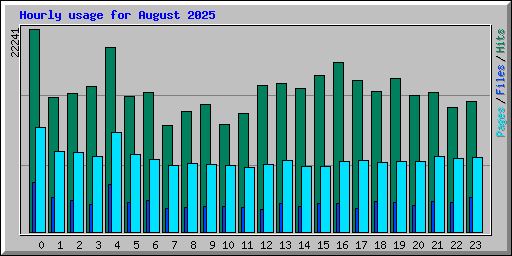 Hourly usage for August 2025