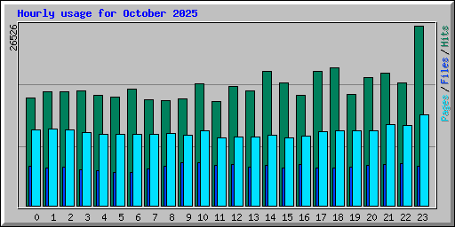 Hourly usage for October 2025