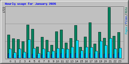Hourly usage for January 2026