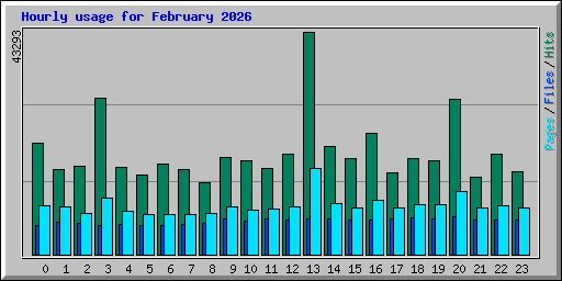 Hourly usage for February 2026