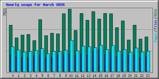 Hourly usage for March 2026