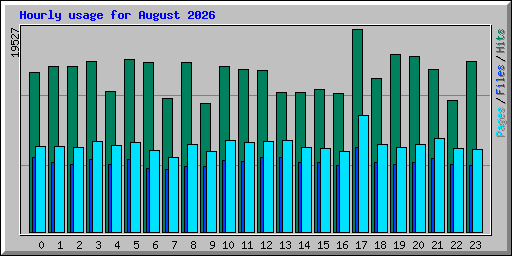 Hourly usage for August 2026